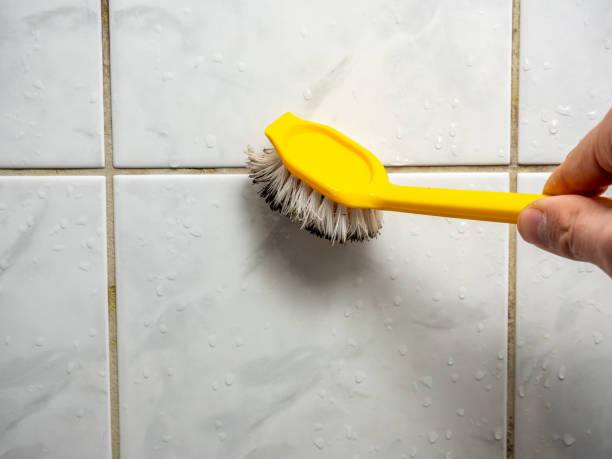 Best Localized Mold Remediation (e.g., coastal areas, humid climates) in Mobile, AL
