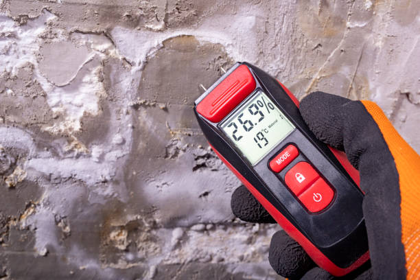 Best HVAC Mold Remediation in Mobile, AL
