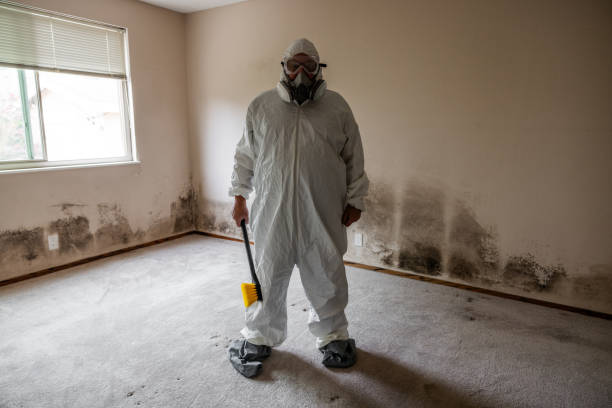 Best Black Mold Remediation in Mobile, AL